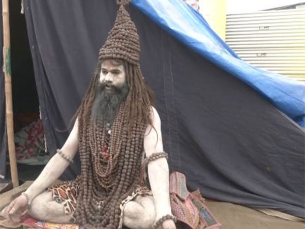 Babas In Maha Kumbh 2025