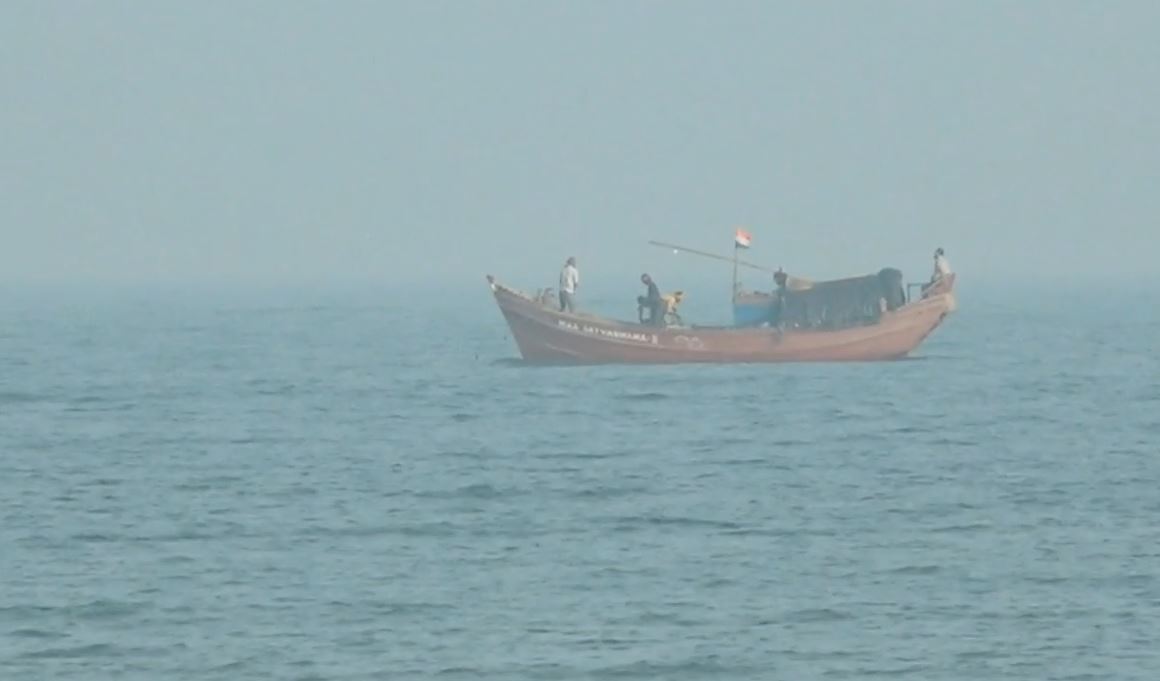 Olive Ridley Turtle Protection Camp By Forest Department During Nesting Season