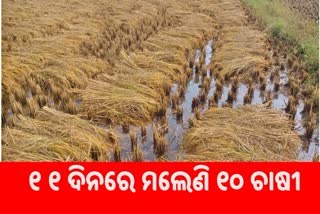 FARMERS DEATH ODISHA