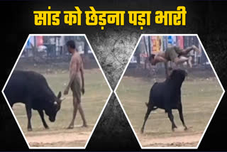 Man dies in bull attack