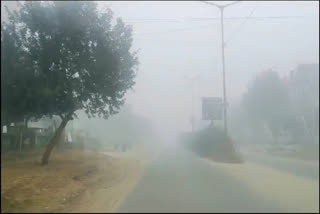 Rajasthan faces a cold wave as a strong western disturbance brings rains, temperature drops, and dense fog. Schools closed in 23 districts till January 11.