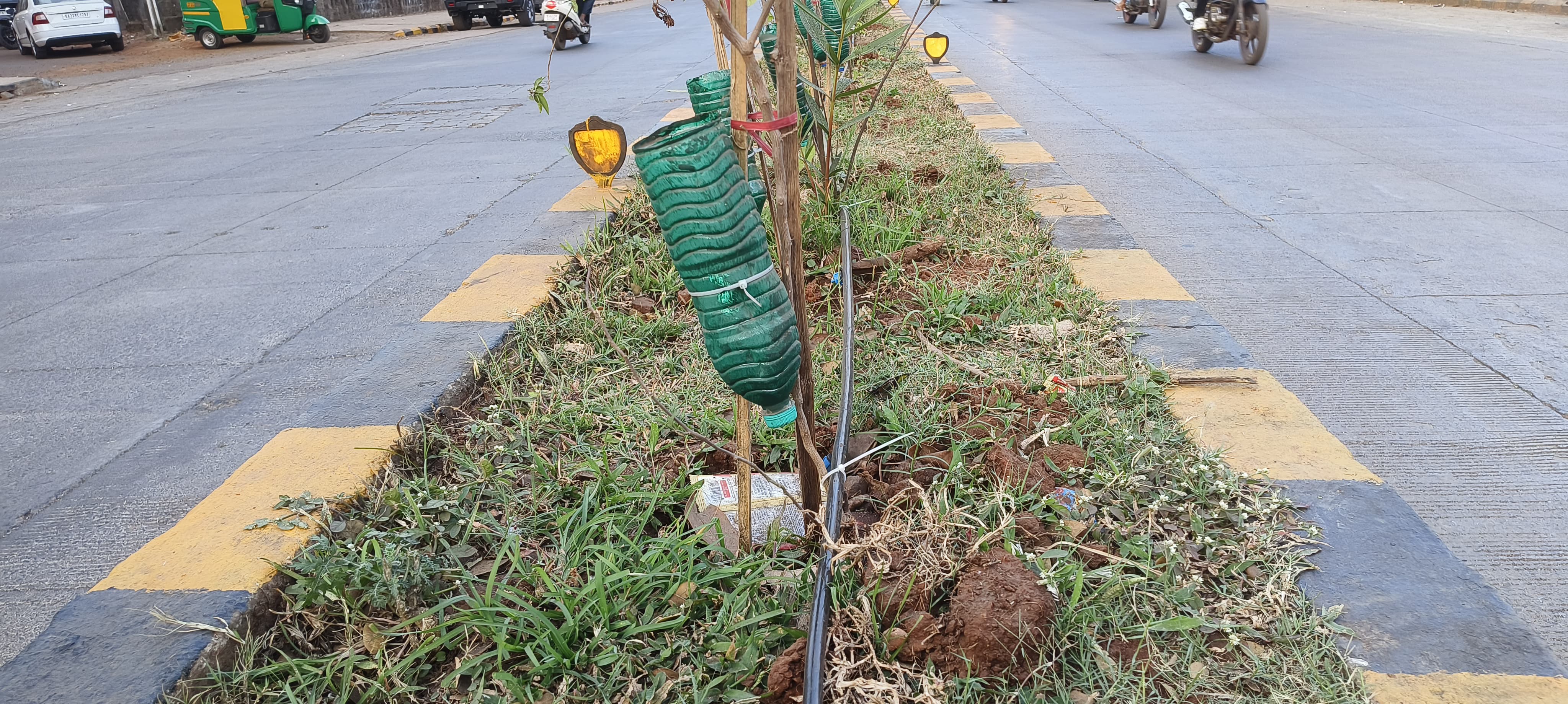 drip-irrigation