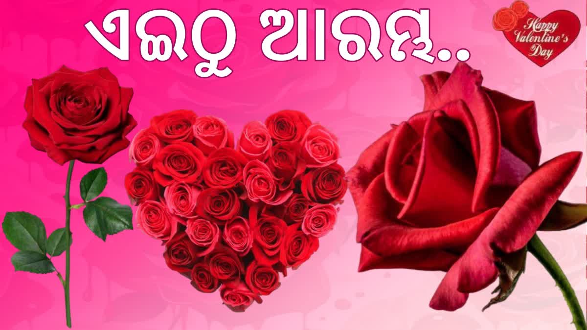 Happy Rose Day 2024