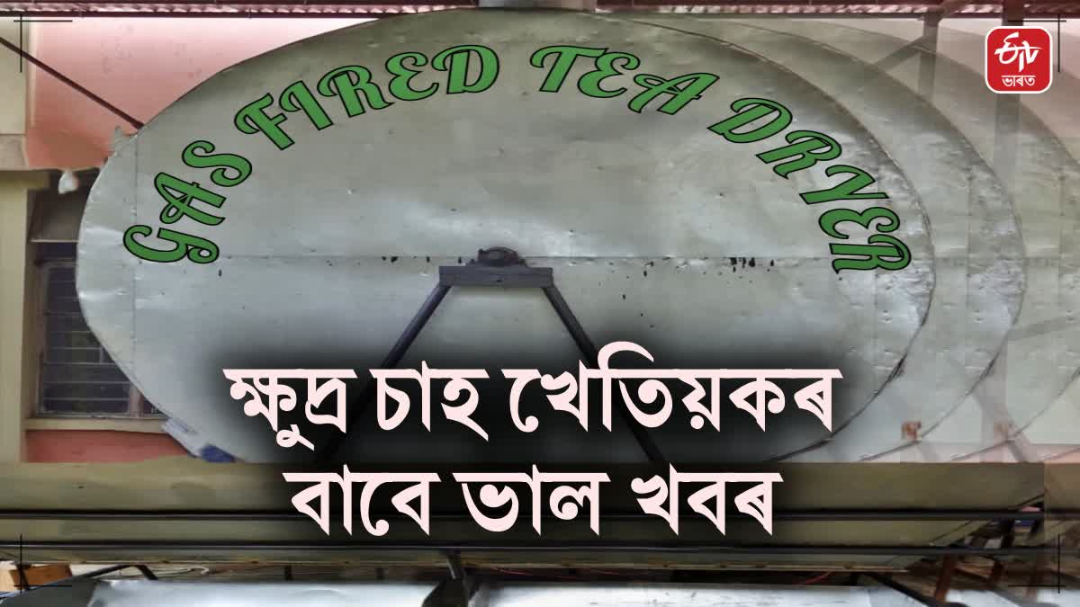 Invention of low cost dryers for small tea farmers