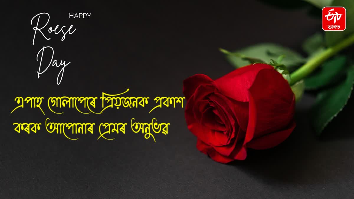 What is the Importance of  Rose Day 2024?