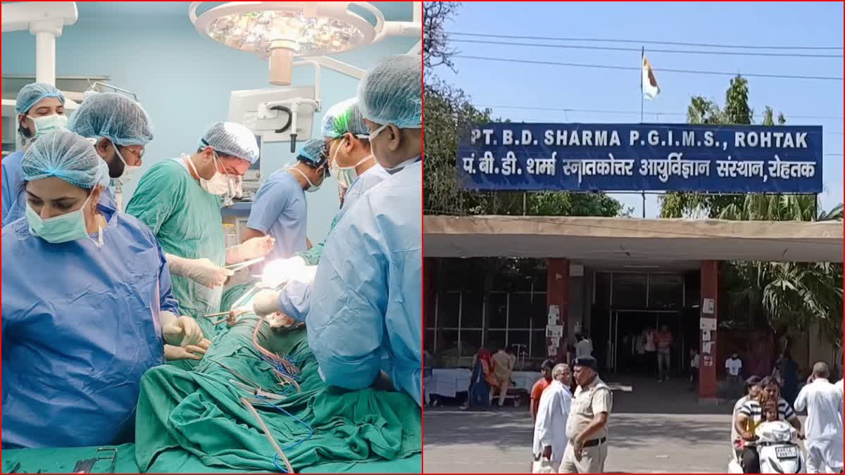 Rohtak Organ Transplant