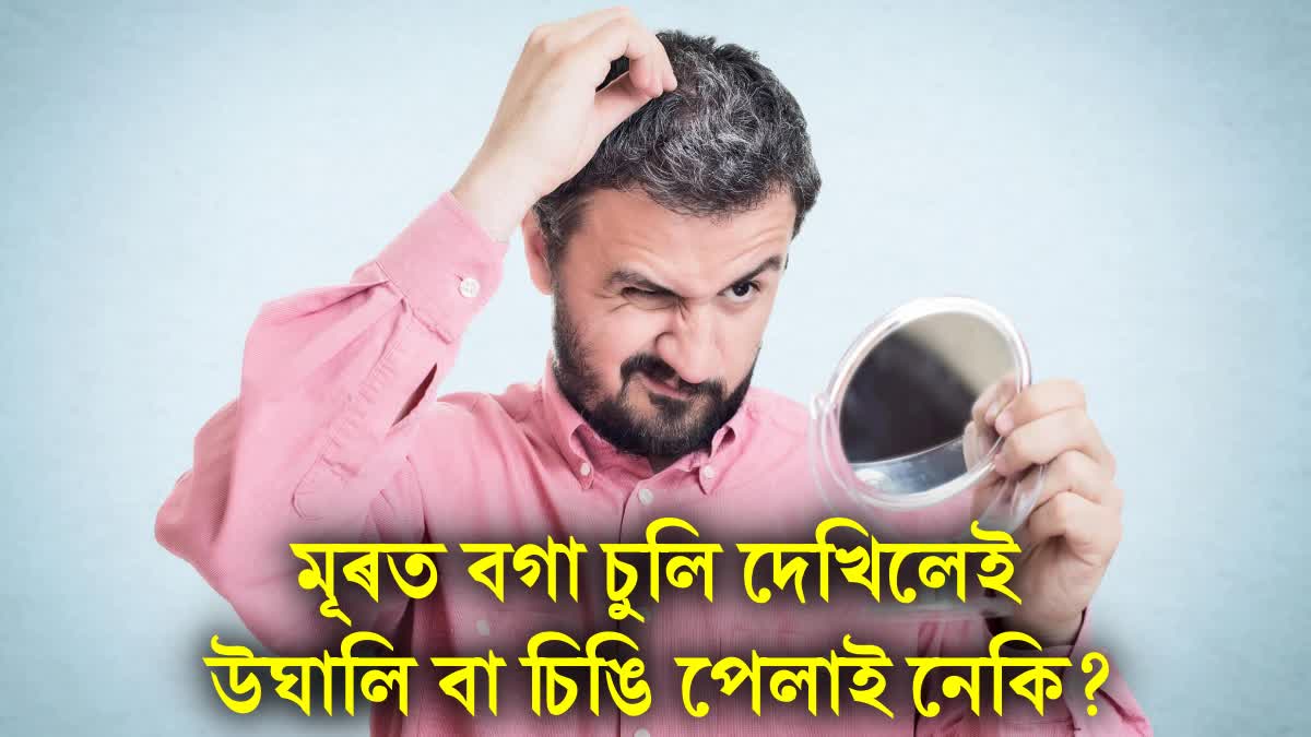 Do you also pull out gray hair and break it? So be careful and know its disadvantages
