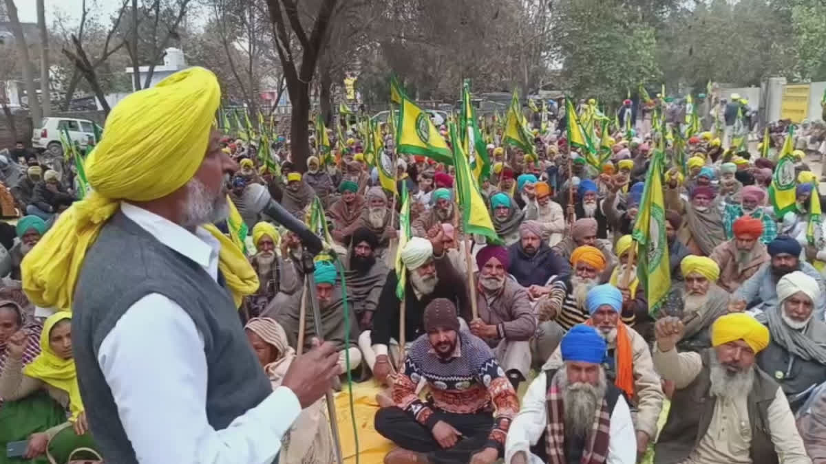 Farmers sit-in outside the DC office at Mansa