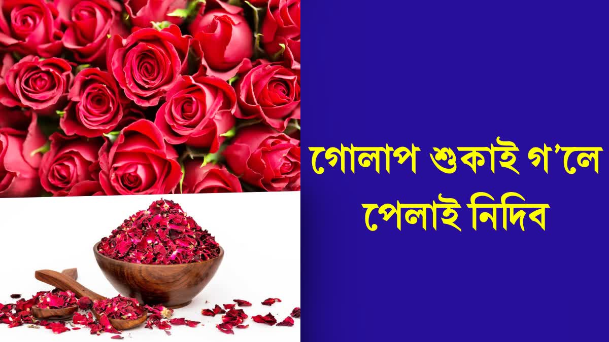 Gulkand to Rose Tea there are so many health benefits of eating rose