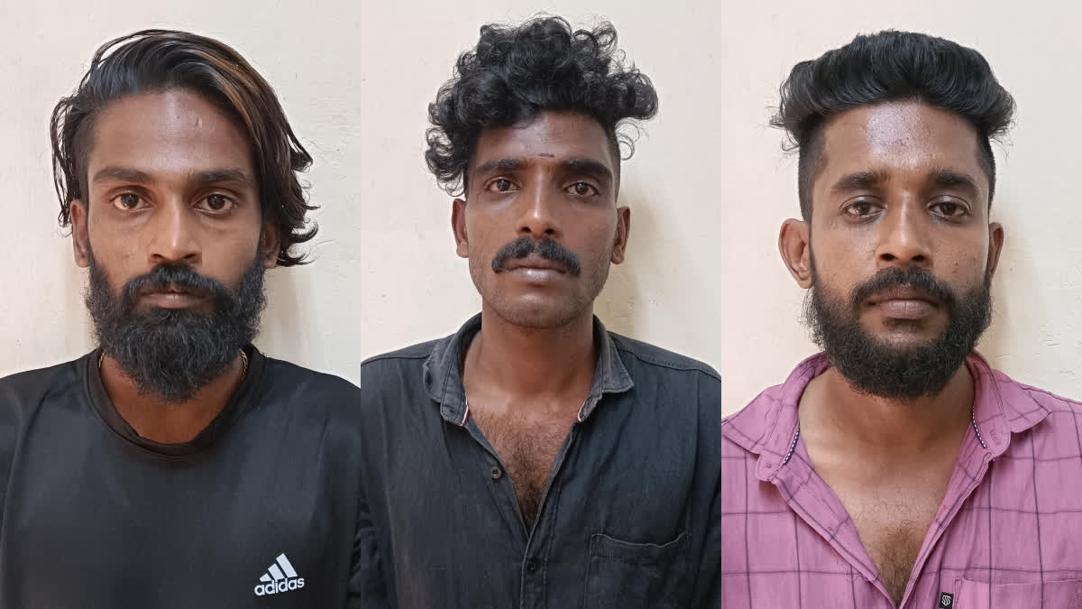 Murder Attempt accused arrested  Kappa case in Adoor Pathanamthitta  കാപ്പാ കേസ് പ്രതിയെ കൊലപാതക ശ്രമം  പ്രതികളെ പൊലീസ് അറസ്റ്റ് ചെയ്‌തു