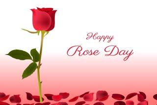 Happy Rose Day 2024