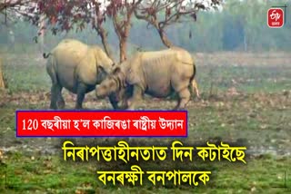 Kaziranga National Park has no infrastructure