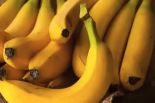 Russia starts exporting bananas to India after Moscow stops purchase from Ecuador