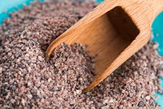 Black Salt for Health News