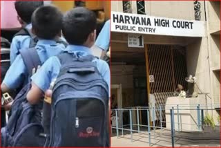 non_recognized_school_high_court_strict_panchkula_haryana