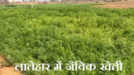 organic farming in Latehar