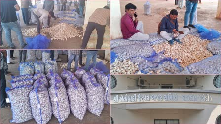 Garlic price hike : લસણના ભાવ પહોંચ્યા આસમાને, રાજકોટમાં 1 કિલોના 400 સુધીના ભાવ જોવા મળ્યા