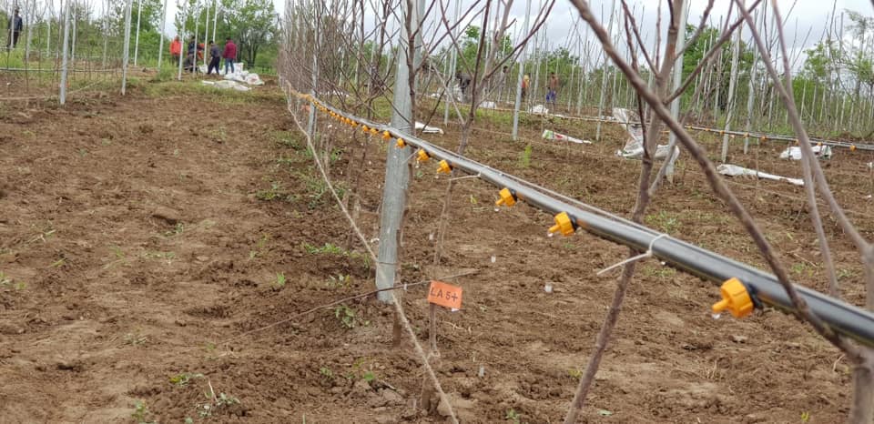 Qul Fruit Wall startup  Agriculture In Jammu and Kashmir  ക്വിൽ ഫ്രൂട്ട് വാൾ 60 കോടി രൂപ  കൃഷി ജമ്മു കശ്‌മീർ