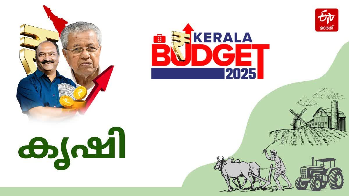 KERALA BUDGET 2025  FINANCIAL SUPPORT TO AGRICULTURE  KERALA AGRICULTURE SECTOR  കേരള ബജറ്റ് 2025