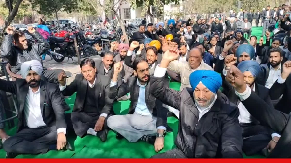 Lawyers stage protest against police in Bathinda, accuse lawyer of supporting shooter