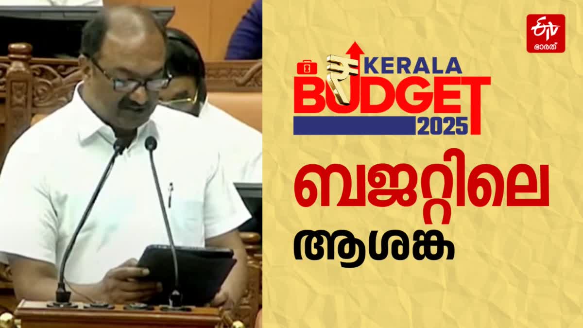 KERALA STATE BUDGET 2025  ബജറ്റ് ആശങ്കകൾ  K N BALAGOPAL