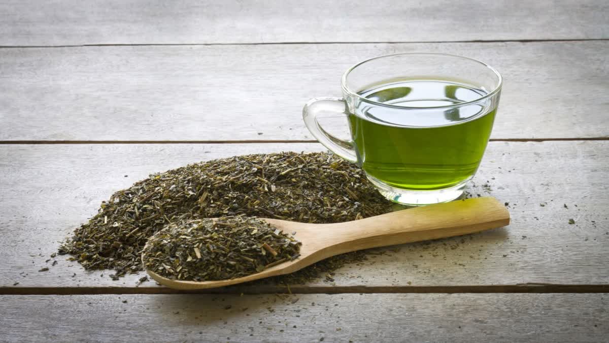 BENEFITS OF DRINKING GREEN  Green Tea For Healthy Brain  Green Tea Health Benefits  Health Benefits Of Green Tea