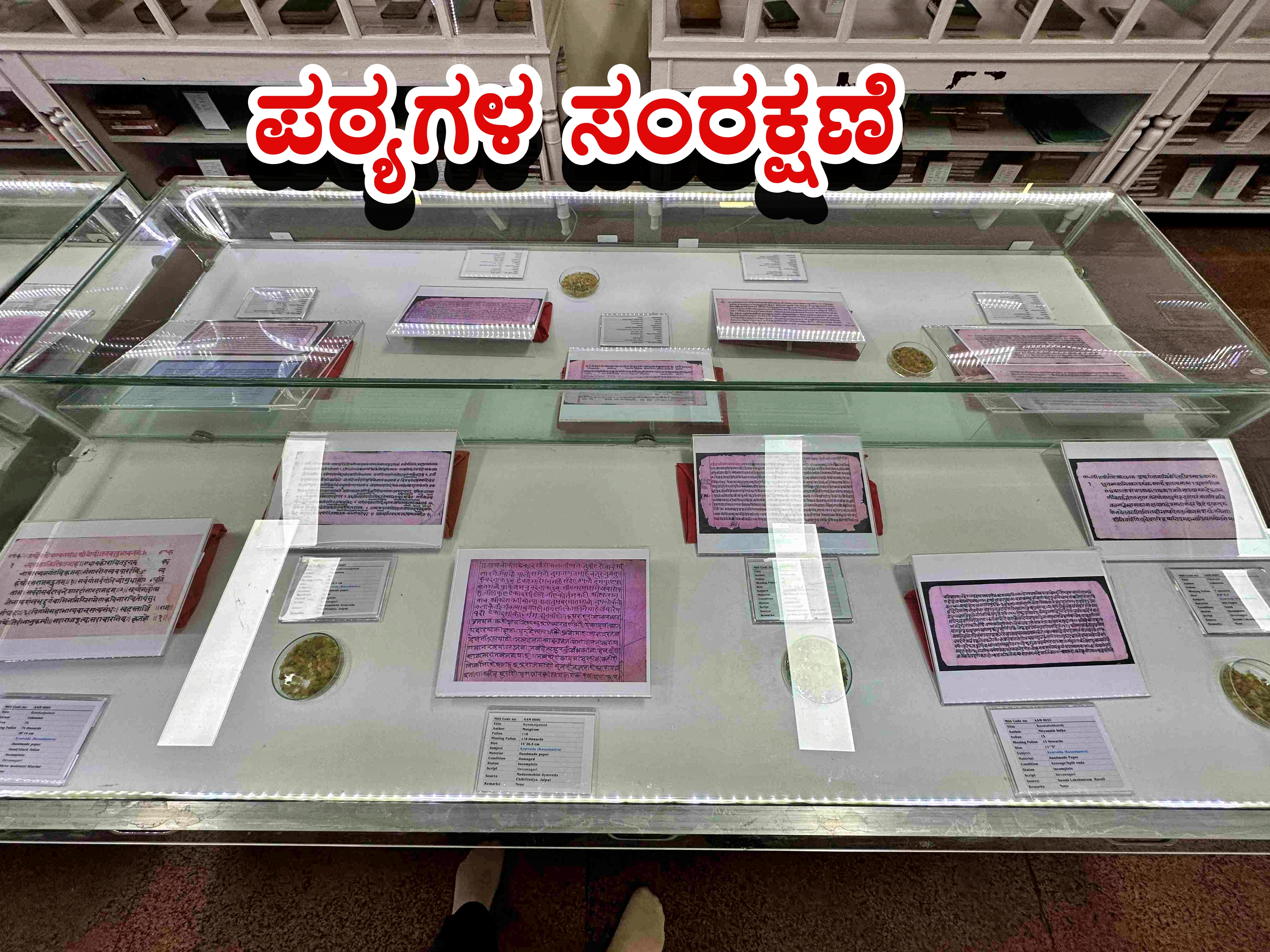 AYURVEDIC TEXTS ARE BEING DIGITALLY PRESERVED AT THE NATIONAL INSTITUTE OF AYURVEDA, JAIPUR