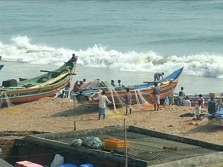 Hundreds Of Olive Ridley Turtles Lie Dead On Puri Shores in Odisha