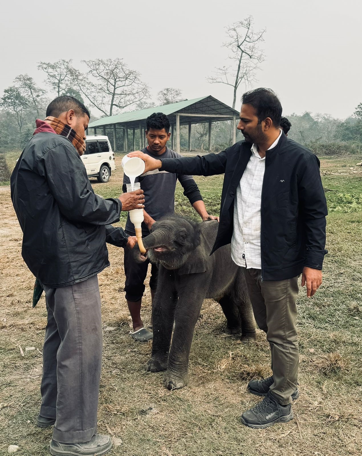 Baby Elephant Rescue in Jaldapara