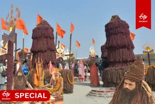 महाकुंभ में रुद्राक्ष का अद्भुत संसार.