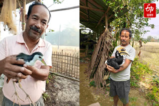 Nature lover Bharat Bora is busy giving a new lease of life to injured birds in Dibrugarh