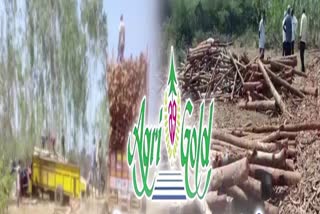 wealth_looted_from_agrigold_lands_in_nellore