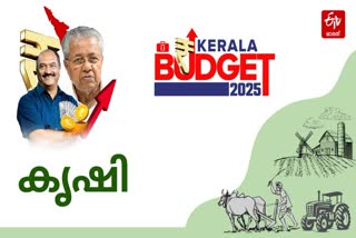 KERALA BUDGET 2025  FINANCIAL SUPPORT TO AGRICULTURE  KERALA AGRICULTURE SECTOR  കേരള ബജറ്റ് 2025