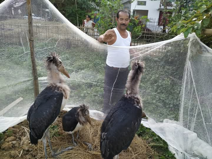 Nature lover Bharat Bora is busy giving a new lease of life to injured birds in Dibrugarh