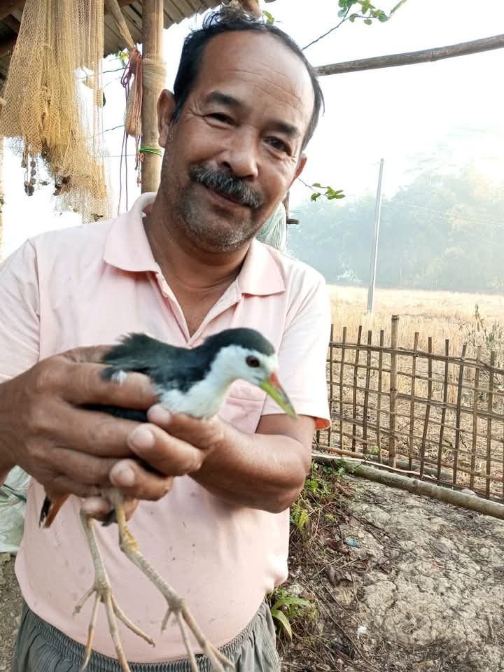 Nature lover Bharat Bora is busy giving a new lease of life to injured birds in Dibrugarh