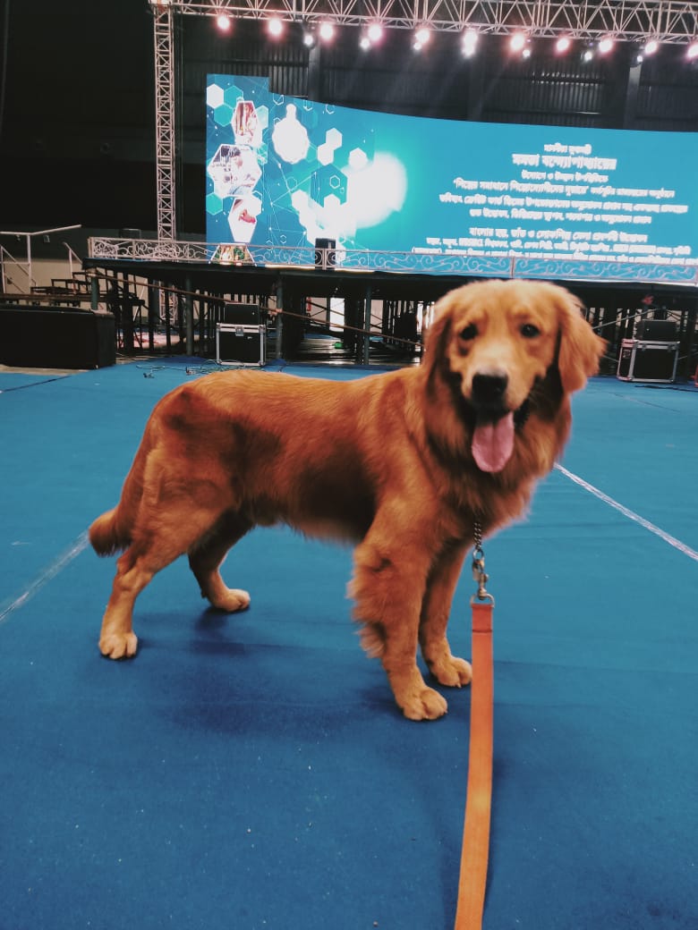 Kolkata Police Dog Squad