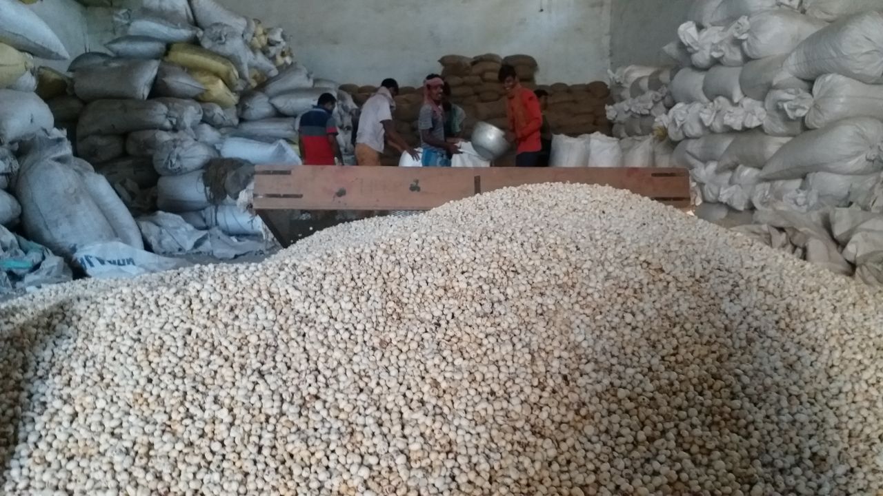 Malda Makhana Industry