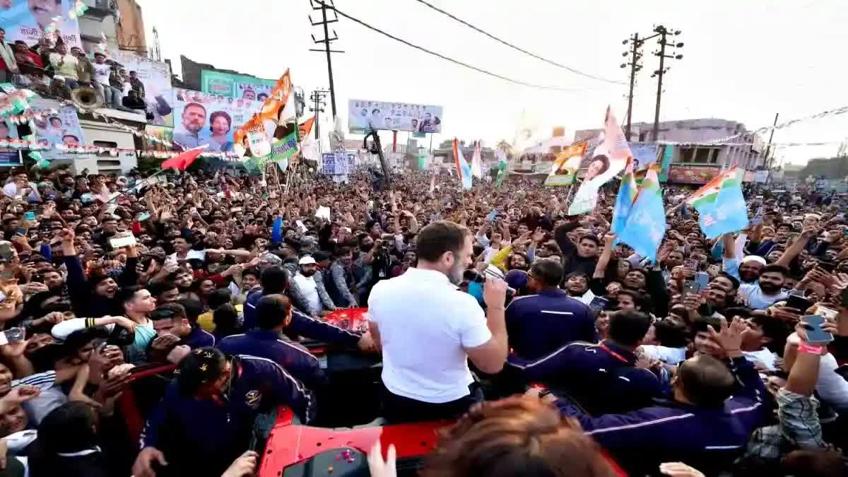 Bharat Jodo Nyay Yatra  Congress Leader Rahul Gandhi  ഭാരത് ജോഡോ ഗുജറാത്തില്‍  രാഹുല്‍ ഗാന്ധി കോണ്‍ഗ്രസ്  കോണ്‍ഗ്രസ് ജോഡോ ന്യായ്‌ യാത്ര