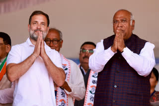 Congress on Thursday promised a new 'employment revolution' if the party comes to power in 2024, as it listed five promises for the youth of the country.