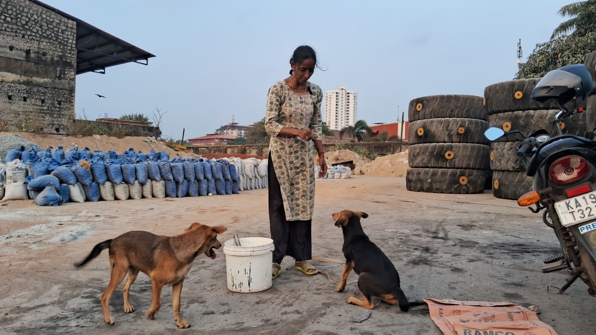 Women's Day 2025: Rajani Shetty's Inspiring Journey To Care For Mangaluru's Forgotten Dogs