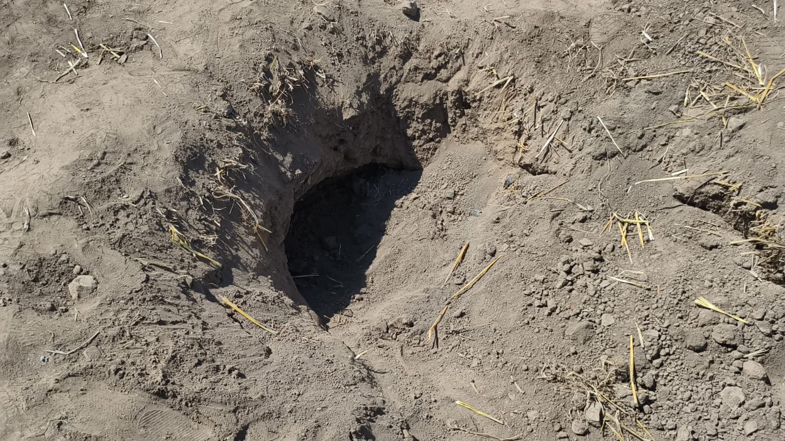 BURHANPUR GOLD COINS FOUND RUMOR