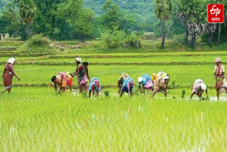 In  Assam 44980 hectares of agricultural land has been depleted in nine years