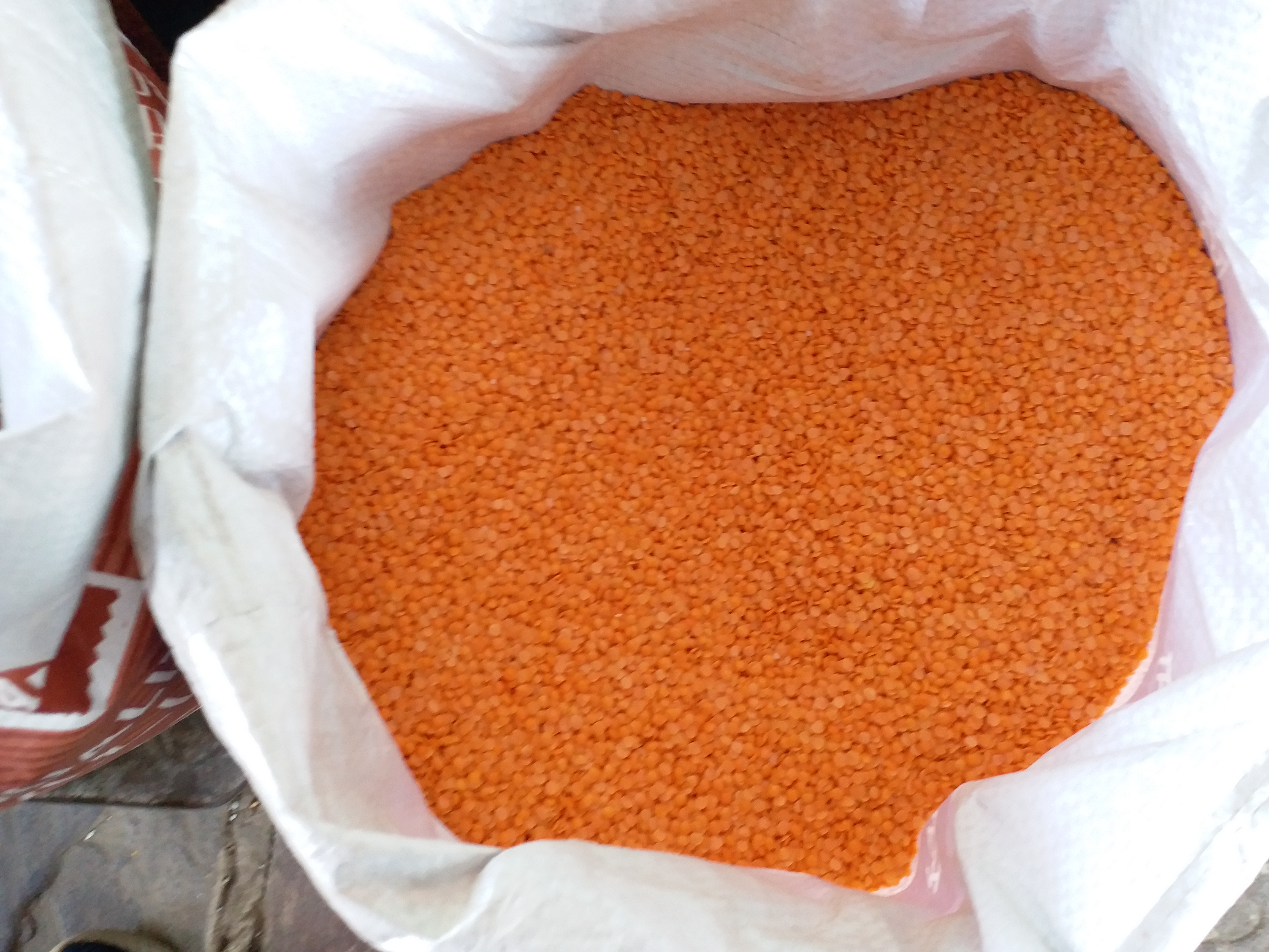 MP Govt fixed lentil MSP