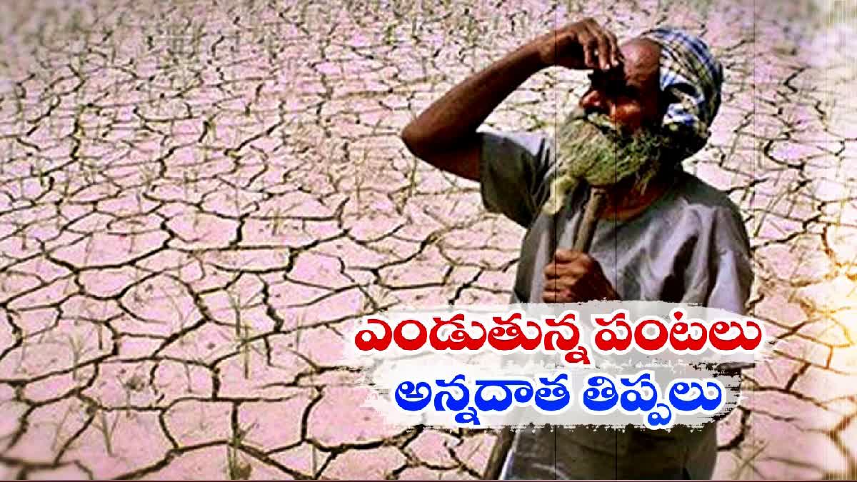 Water Crisis in Telangana