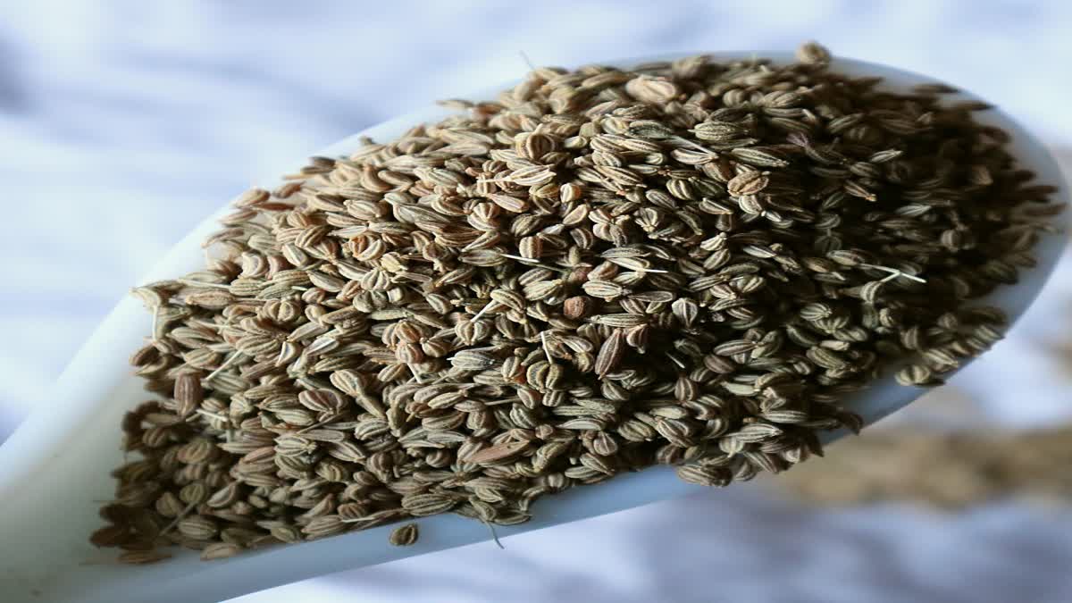 Ajwain Seeds Benefits