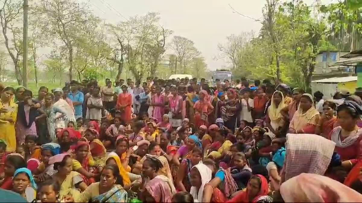 Tea Workers Protest