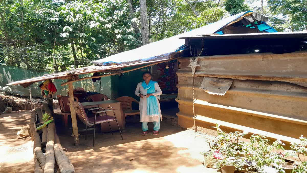 MISERABLE LIFE INSIDE PLASTIC SHED  PANCHAYAT NOT TAKING ACTION  PANCHAYAT BUILD NEW HOUSE  ഷെഡിനുള്ളിൽ ദുരിത ജീവിതം