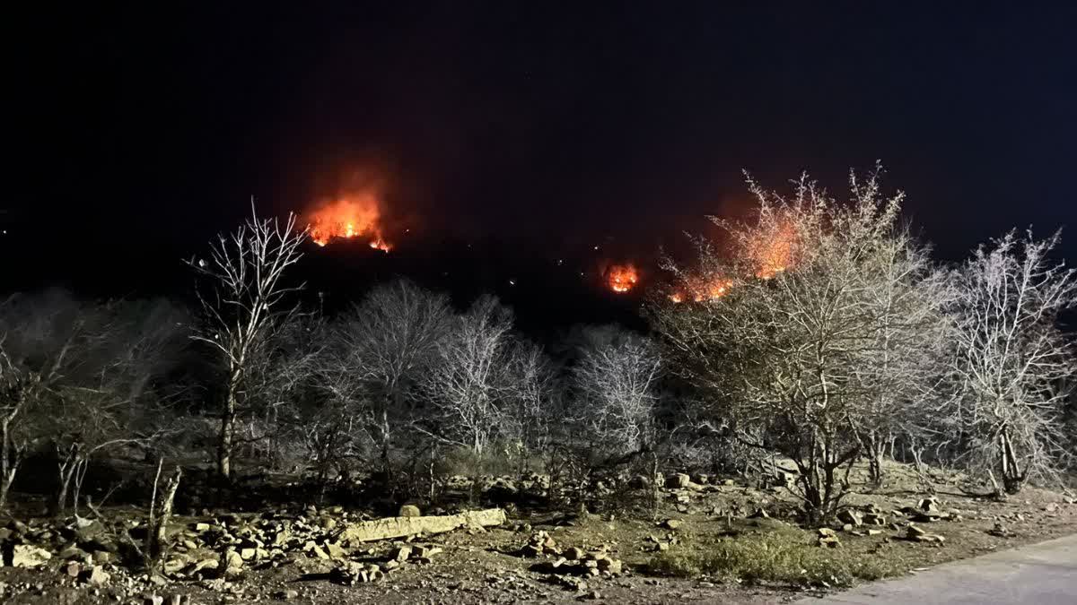 Shahbad Forest Area Of Baran