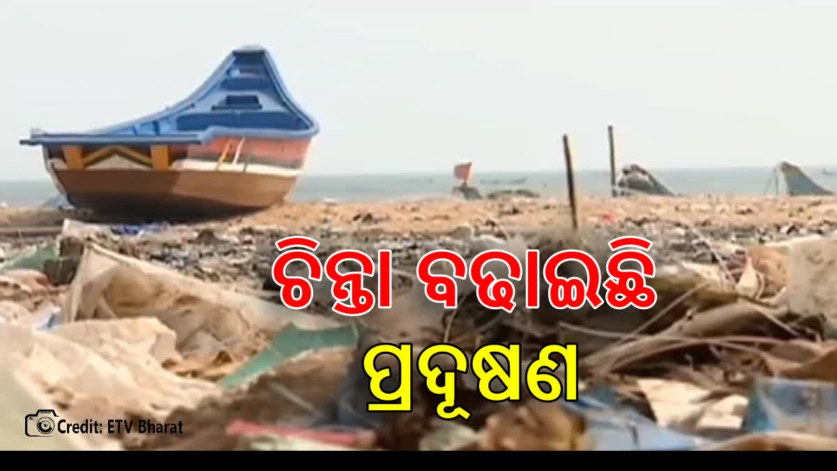 Pollution In Sea Beach