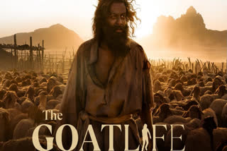 Aadujeevitham - The Goat Life Box Office Day 10: Prithviraj Sukumaran Film Zooms past Rs 50 Cr Mark